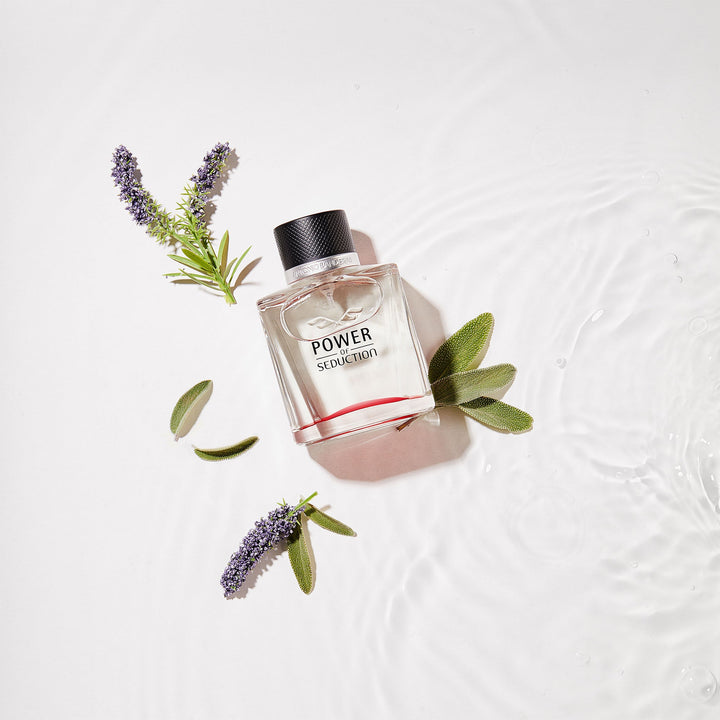 Antonio Banderas Perfume Power Of Seduction Antonio Banderas Power